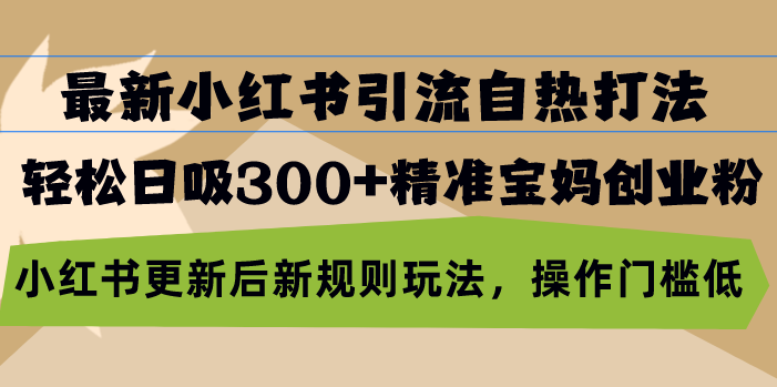 最新小红书引流自热打法，轻松日吸300+精准宝妈创业粉，小红书更新后新…-副业网创