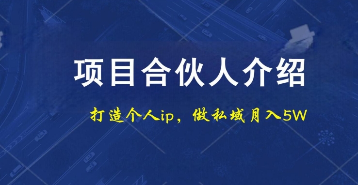 项目合伙人项目，打造个人IP，做私域月入5W，小白勿扰-副业网创