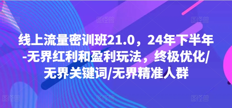 线上流量密训班21.0，24年下半年-无界红利和盈利玩法，终极优化/无界关键词/无界精准人群-副业网创