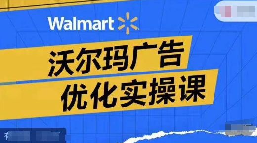 沃尔玛广告优化实操课，广告报告实操讲解，广告如何提高转化和ROAS等-副业网创
