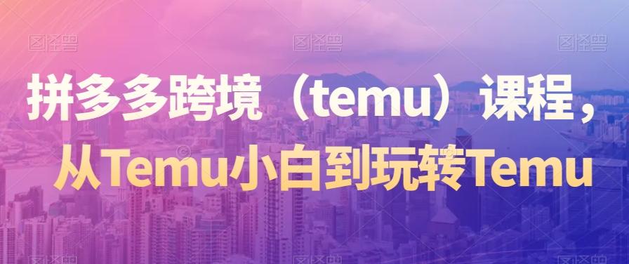 拼多多跨境（temu）课程，从Temu小白到玩转Temu-副业网创
