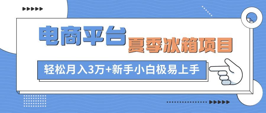 电商平台夏季冰箱项目，轻松月入3万+，新手小白极易上手-副业网创