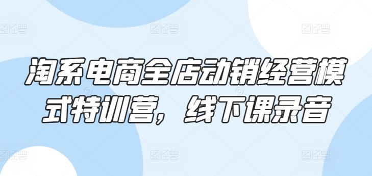 淘系电商全店动销经营模式特训营，线下课录音-副业网创