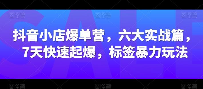 抖音小店爆单营，六大实战篇，7天快速起爆，标签暴力玩法-副业网创