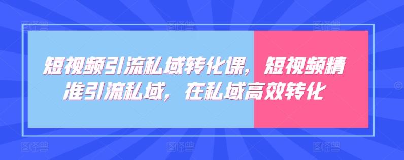 短视频引流私域转化课，短视频精准引流私域，在私域高效转化-副业网创