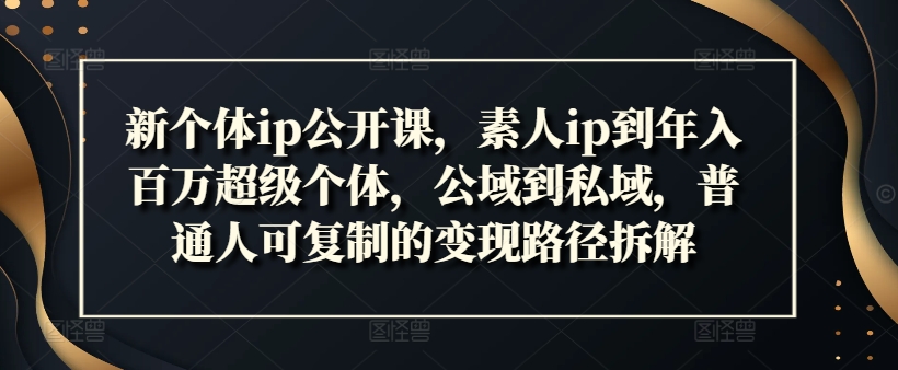 新个体ip公开课，素人ip到年入百万超级个体，公域到私域，普通人可复制的变现路径拆解-副业网创
