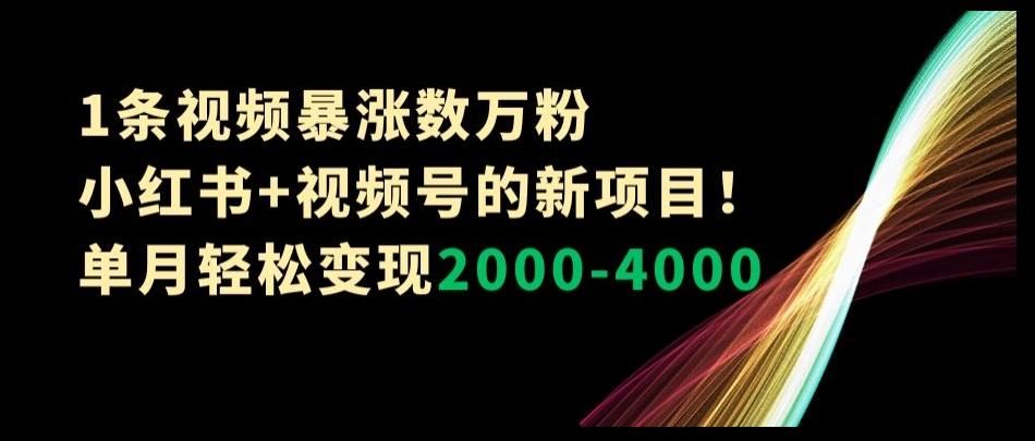1条视频暴涨数万粉–小红书+视频号的新项目！单月轻松变现2000-4000【揭秘】-副业网创