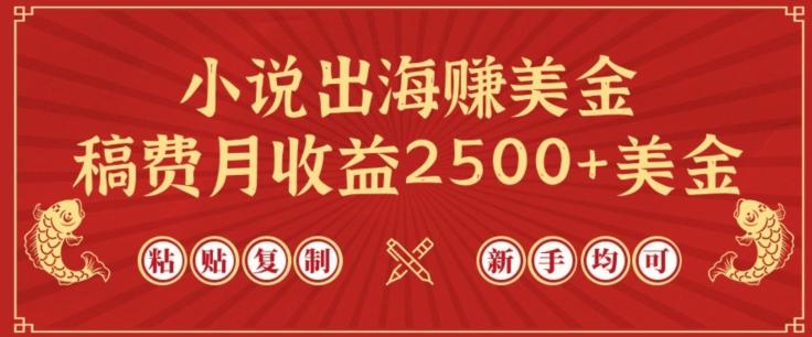 小说出海赚美金，稿费月收益2500+美金，仅需chatgpt粘贴复制，新手也能玩转【揭秘】-副业网创