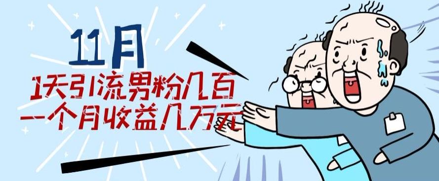 11月最新每天引流男粉300+一个月收益几万元-副业网创