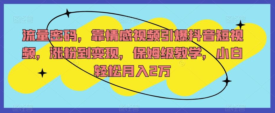 流量密码，靠情感视频引爆抖音短视频，涨粉到变现，保姆级教学，小白轻松月入2万【揭秘】-副业网创