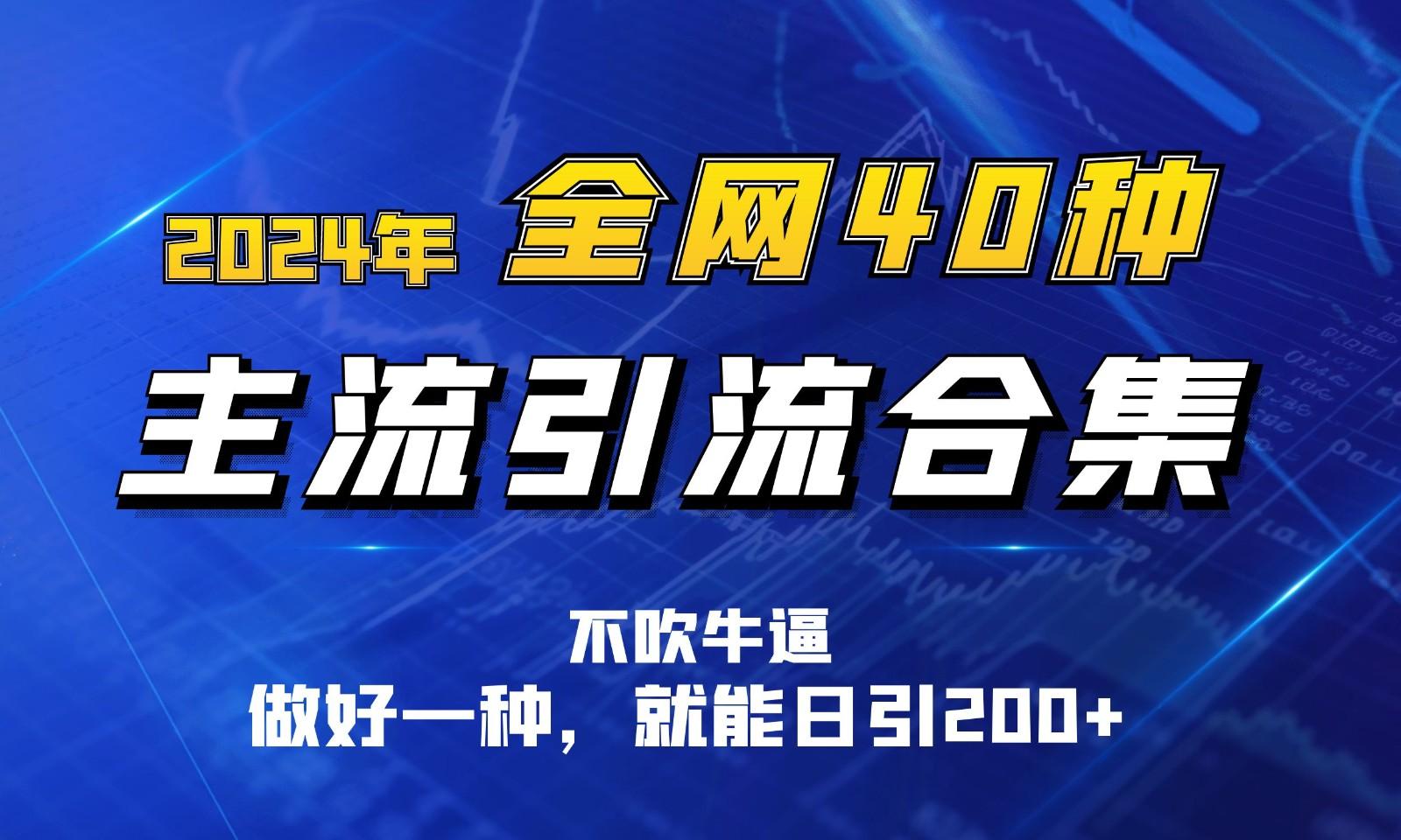 2024年全网40种暴力引流合计，做好一样就能日引100+-副业网创