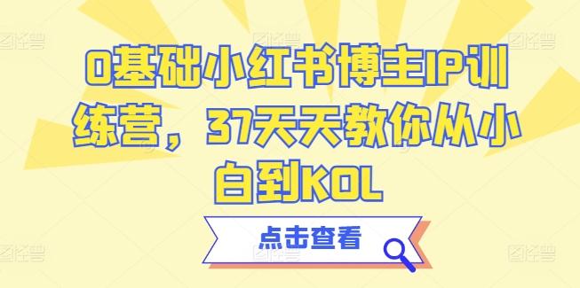 0基础小红书博主IP训练营，37天天教你从小白到KOL-副业网创