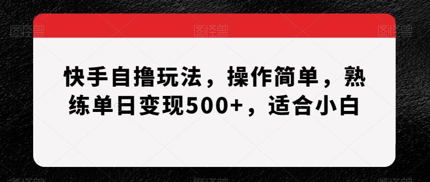 快手自撸玩法，操作简单，熟练单日变现500+，适合小白【揭秘】-副业网创