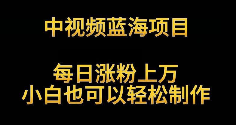 中视频蓝海项目，解读英雄人物生平，每日涨粉上万，小白也可以轻松制作，月入过万不是梦【揭秘】-副业网创