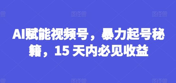 AI赋能视频号，暴力起号秘籍，15 天内必见收益【揭秘】-副业网创