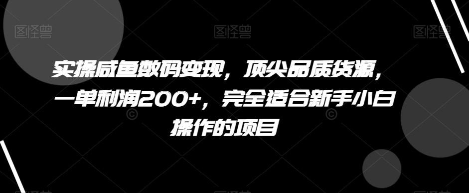 实操咸鱼数码变现，顶尖品质货源，一单利润200+，完全适合新手小白操作的项目【揭秘】-副业网创