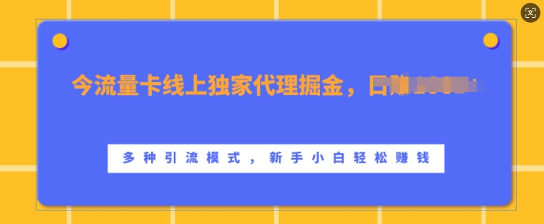 流量卡线上独家代理掘金，日入1k+ ，多种引流模式，新手小白轻松上手【揭秘】-副业网创