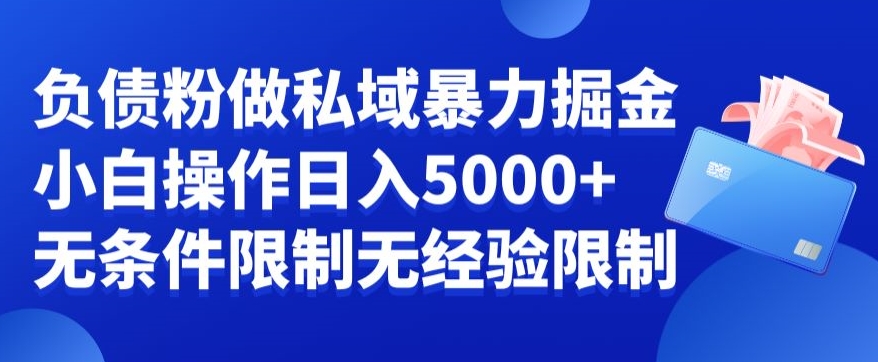 负债粉私域暴力掘金，小白操作入5000，无经验限制，无条件限制【揭秘】-副业网创