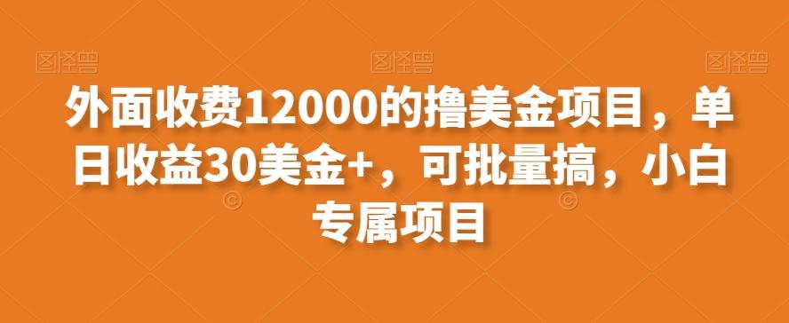 外面收费12000的撸美金项目，单日收益30美金+，可批量搞，小白专属项目-副业网创