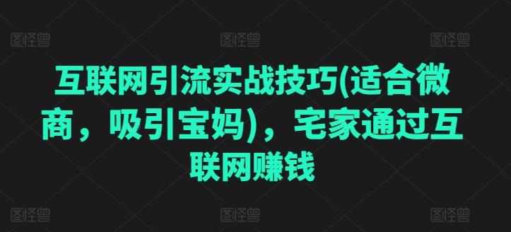 互联网引流实战技巧(适合微商，吸引宝妈)，宅家通过互联网赚钱-副业网创