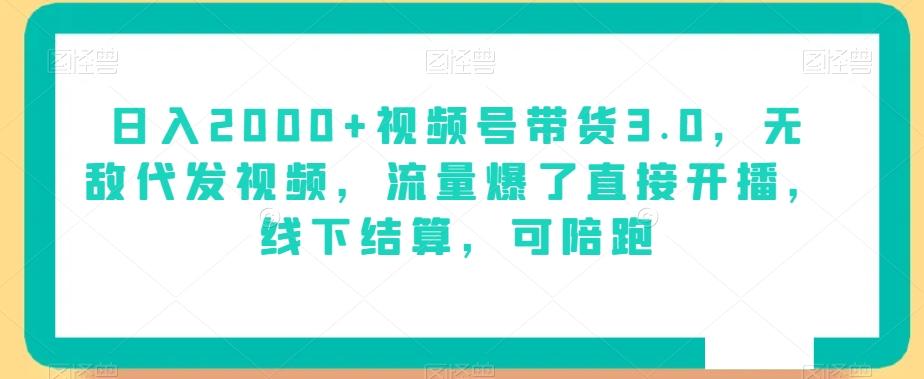 日入2000+视频号带货3.0，无敌代发视频，流量爆了直接开播，线下结算，可陪跑-副业网创