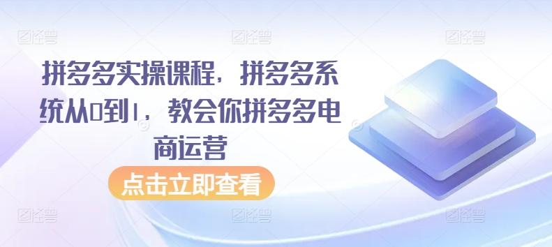 拼多多实操课程，拼多多系统从0到1，教会你拼多多电商运营-副业网创