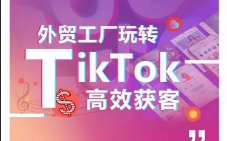 外贸工厂玩转TikTok高效获客，多种引流方式与账号定位技巧，拆解爆款短视频打造成功案例-副业网创