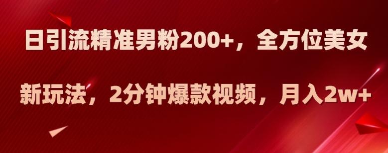 日引流精准男粉200+，全方位美女新玩法，2分钟爆款视频，月入2w+【揭秘】-副业网创