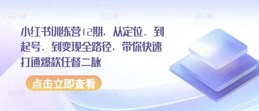 小红书训练营12期，从定位、到起号、到变现全路径，带你快速打通爆款任督二脉-副业网创