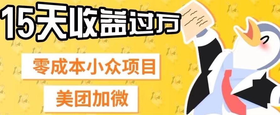 零成本小众项目，美团加微，一单4.5+，15天已经有人赚上万收益-副业网创