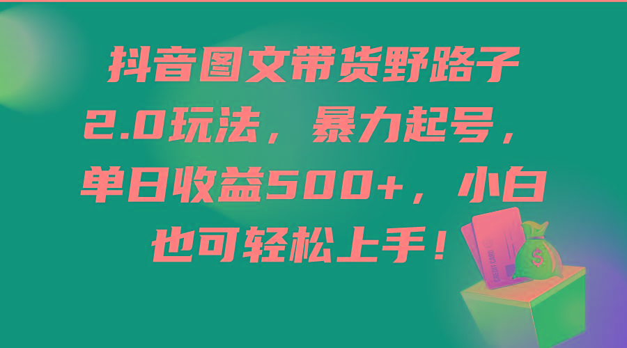 (9790期)抖音图文带货野路子2.0玩法，暴力起号，单日收益500+，小白也可轻松上手！-副业网创