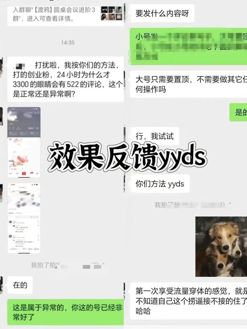 图片[3]-抖音小红书视频号全平台引流打法，全自动引流日引2000+精准客户-副业网创