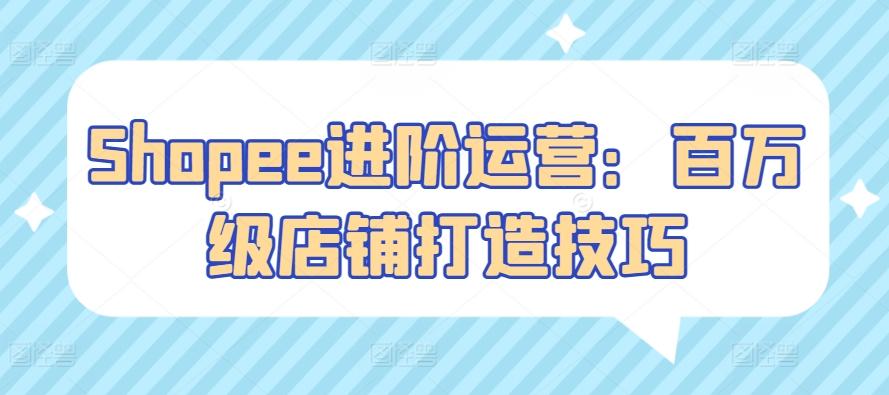 Shopee进阶运营：百万级店铺打造技巧-副业网创