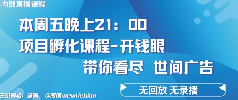 4.26日内部回放课程《项目孵化-开钱眼》赚钱的底层逻辑【揭秘】-副业网创