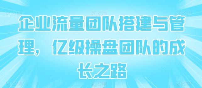 企业流量团队搭建与管理，亿级操盘团队的成长之路-副业网创