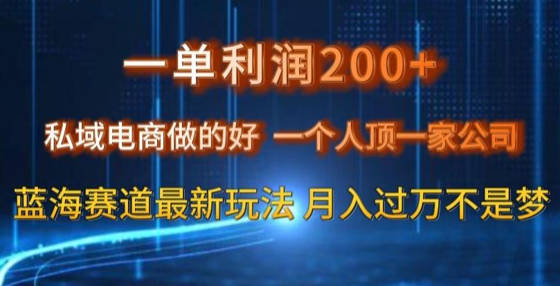 一单利润200私域电商做的好，一个人顶一家公司蓝海赛道最新玩法【揭秘】-副业网创