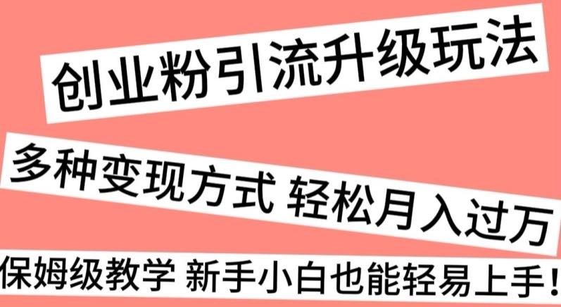 创业粉引流升级玩法，多种变现方式轻松月入过万，保姆级教学新手小白也能轻易上手！-副业网创