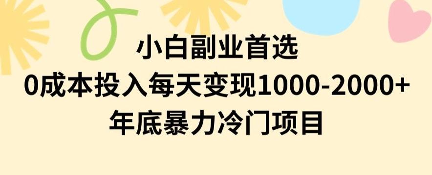 小白副业首选，0成本投入，每天变现1000-2000年底暴力冷门项目【揭秘】-副业网创