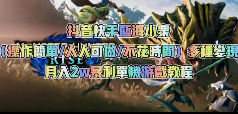 抖音快手蓝海小众（操作简单人人可做不花时间）多种变现月入2w＋暴利单机游戏教程-副业网创