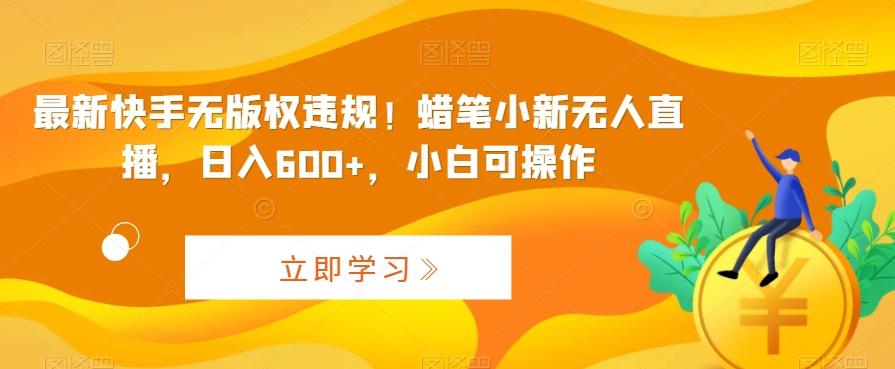 最新快手无版权违规！蜡笔小新无人直播，日入600+，小白可操作【揭秘】-副业网创