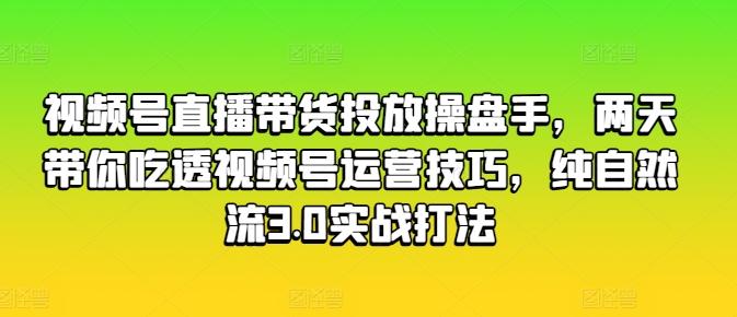 视频号直播带货投放操盘手，两天带你吃透视频号运营技巧，纯自然流3.0实战打法-副业网创