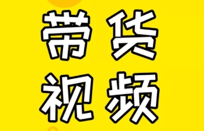 芒果老师·教你做抖音短视频和直播带货-副业网创