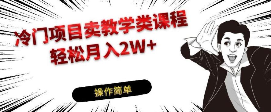 冷门项目卖教学类课程，轻松月入2W+-副业网创