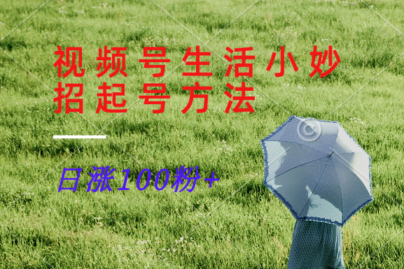 视频号生活小妙招分享赛道， 起号涨粉新方法，日涨100粉-副业网创