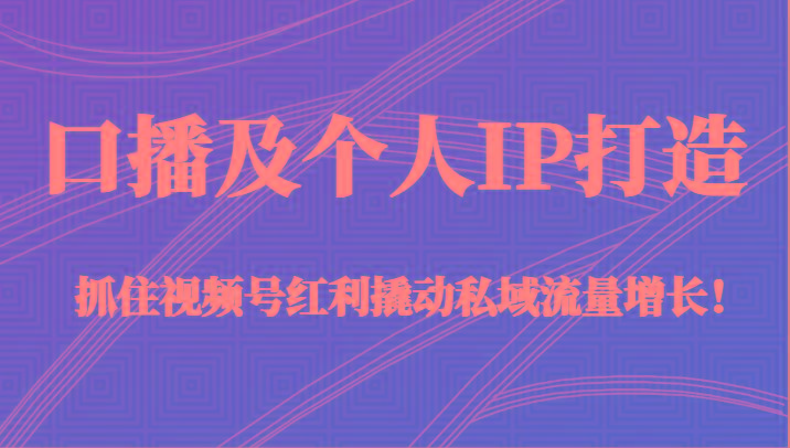 口播及个人IP打造，抓住视频号红利撬动私域流量增长！（45节课）-副业网创
