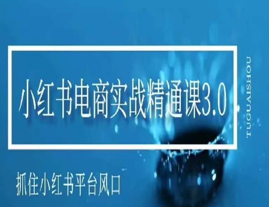 小红书电商实战精通课3.0，抓住小红书平台的风口，不错过有一个赚钱的机会-副业网创