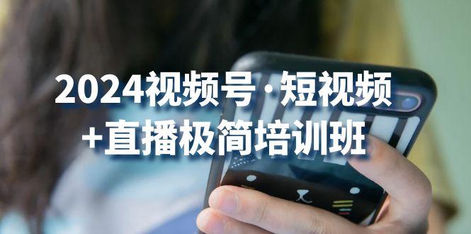 2024视频号·短视频+直播极简培训班：抓住视频号风口，流量红利-副业网创