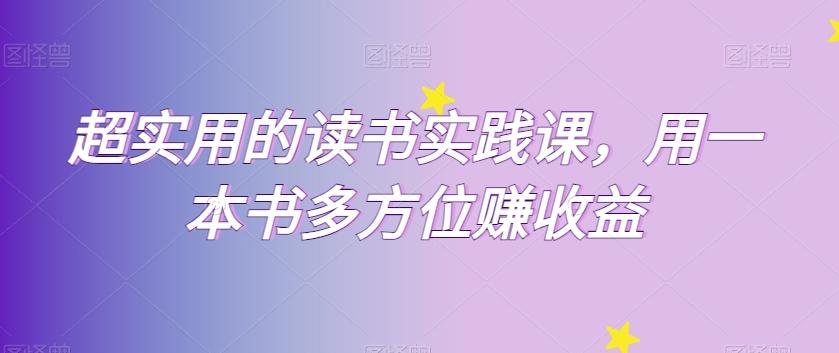 超实用的读书实践课，用一本书多方位赚收益-副业网创