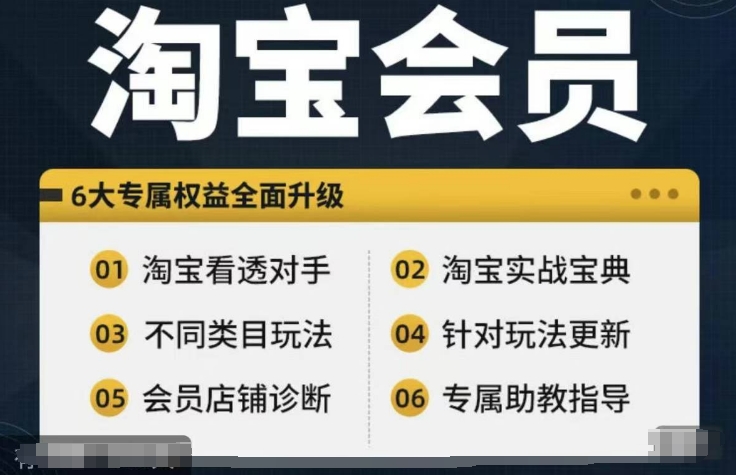 淘宝会员【淘宝所有课程，全面分析对手】，初级到高手全系实战宝典-副业网创