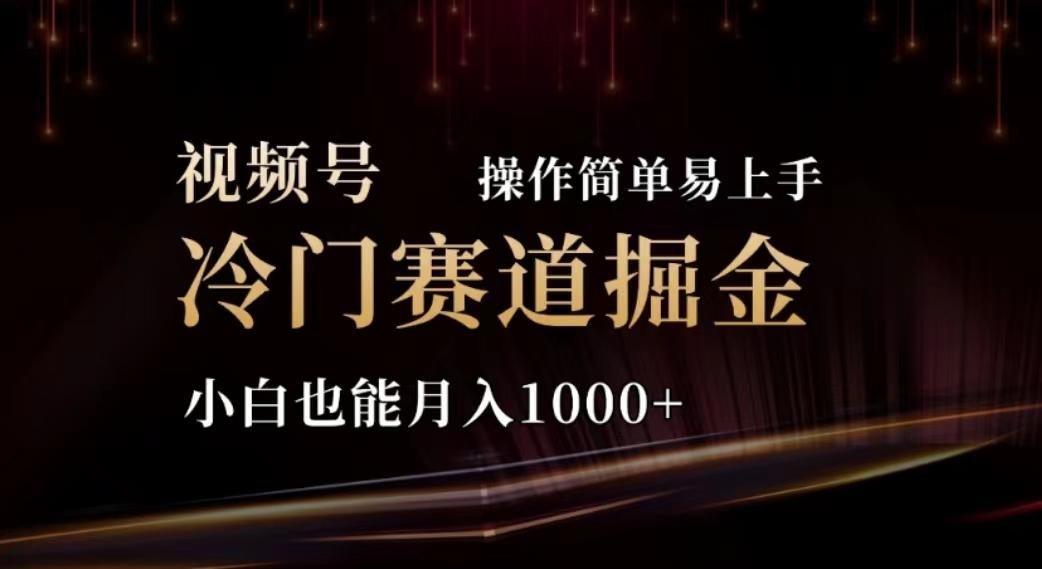 2024视频号冷门赛道掘金，操作简单轻松上手，小白也能月入1000+-副业网创